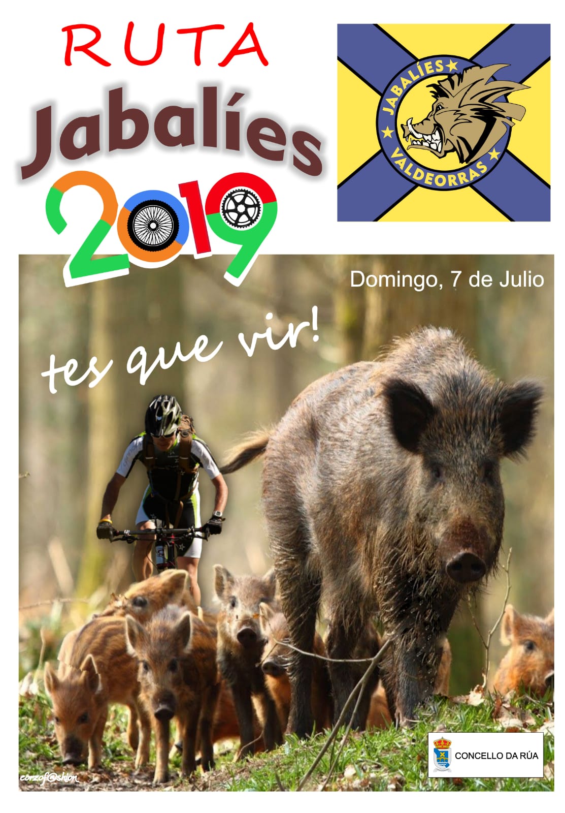 Ruta Javalíes 2019
